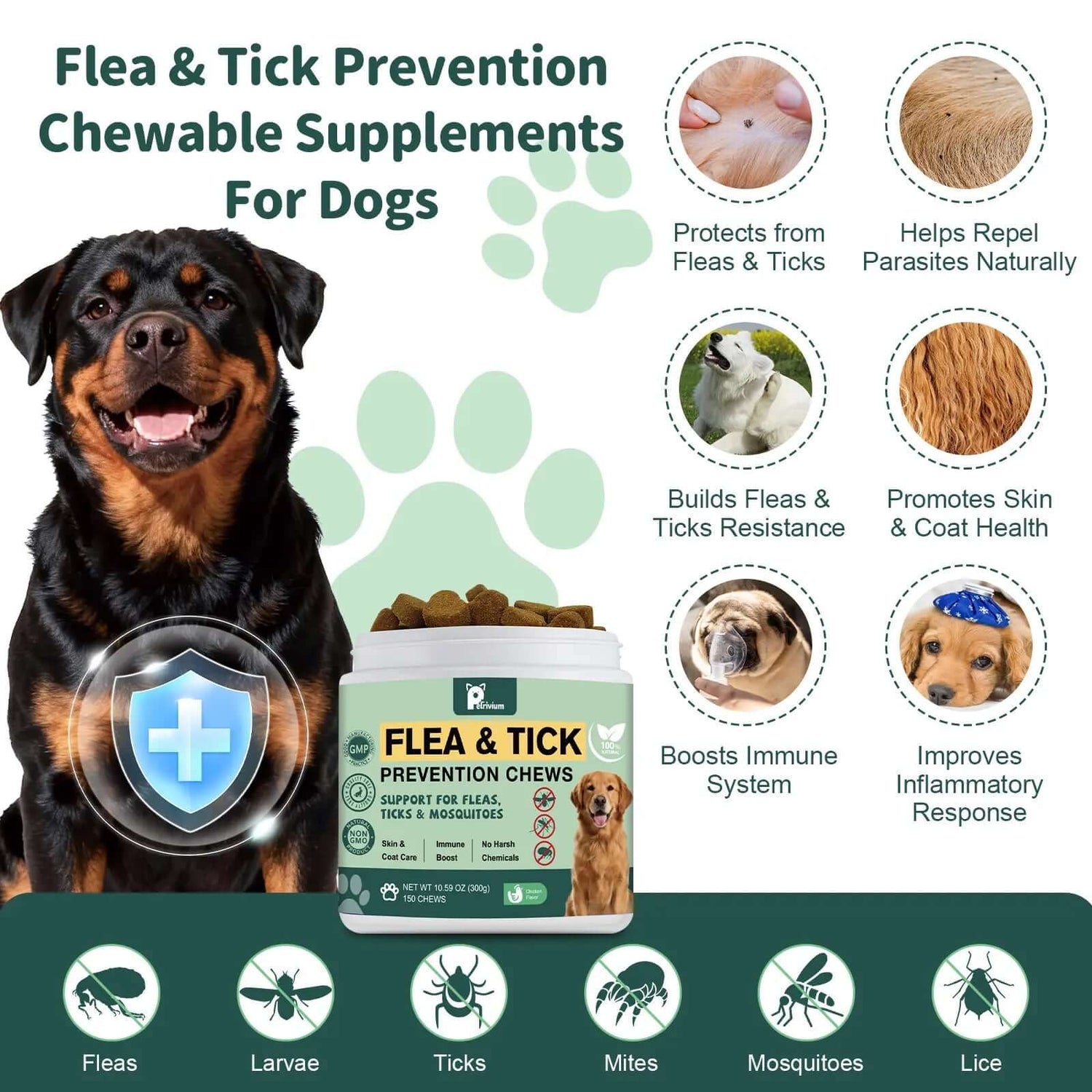 Dog supplies for every breed – toys, grooming tools and accessories at PawBuddies™