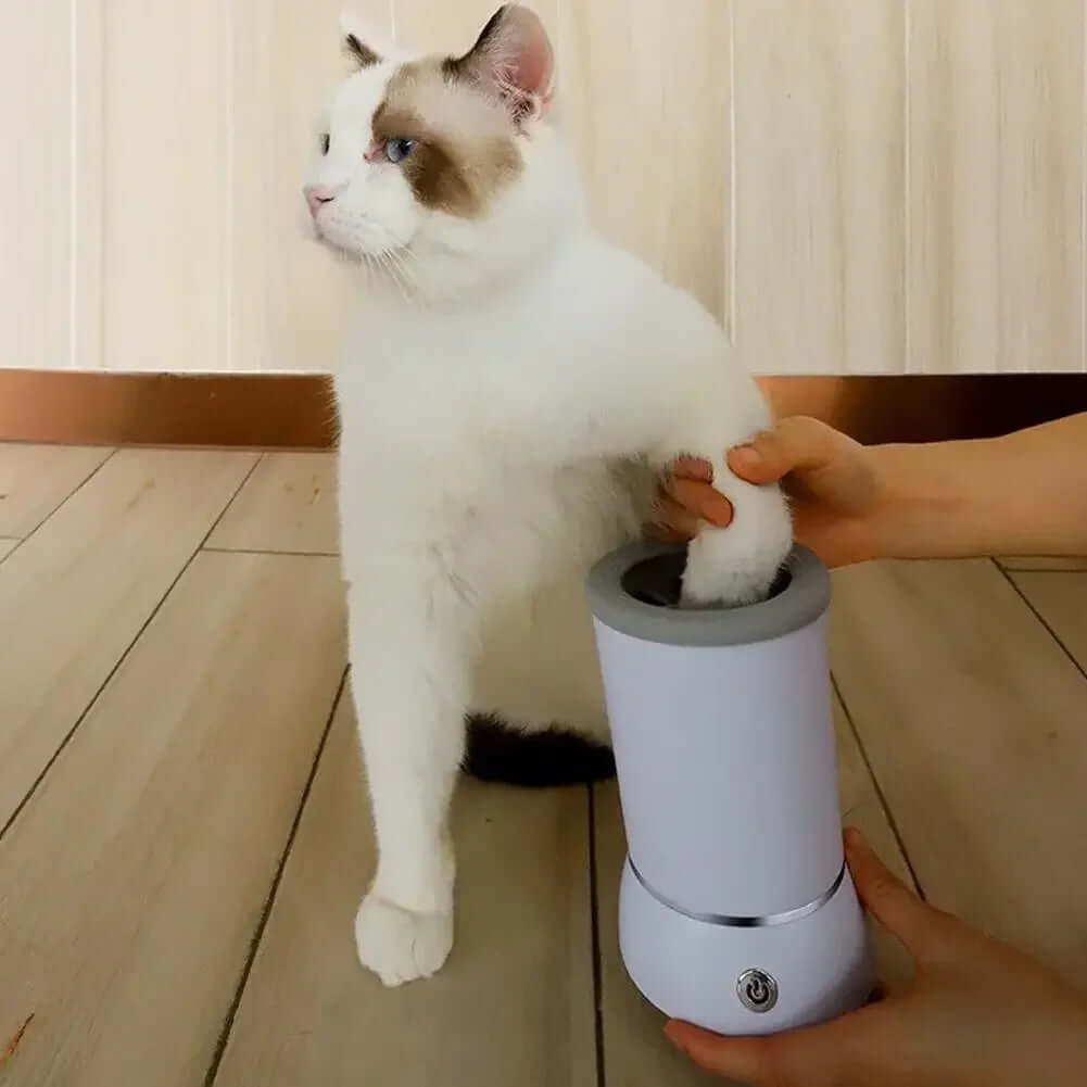 Cat supplies – premium toys, grooming tools and accessories for cats at PawBuddies™