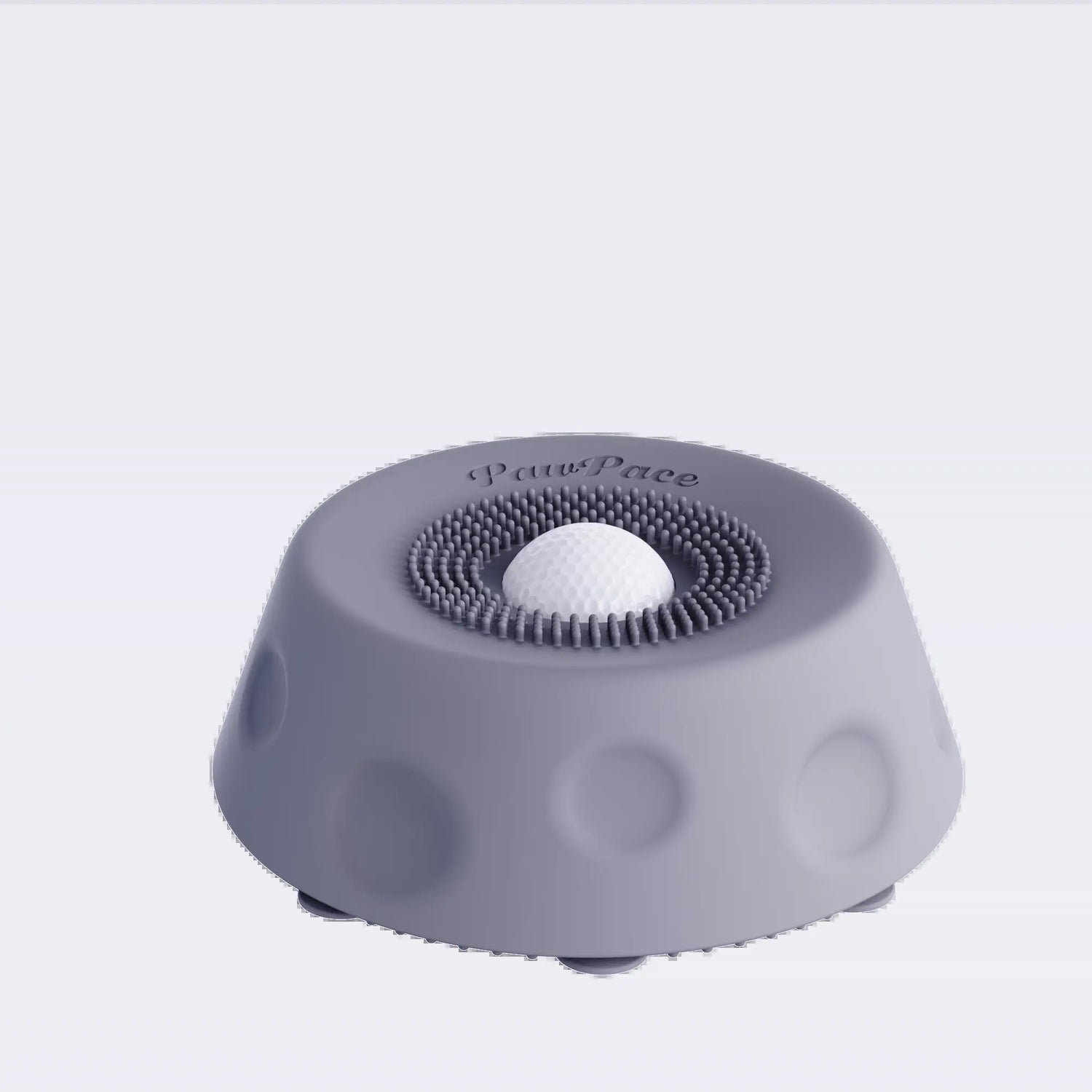 PawBuddies no mess slow feeder dog bowl with suction cups