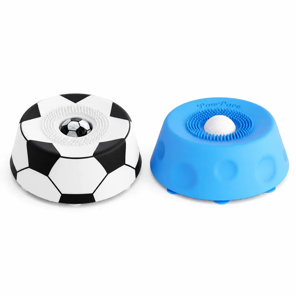 Dishwasher safe no mess dog bowl for daily feeding