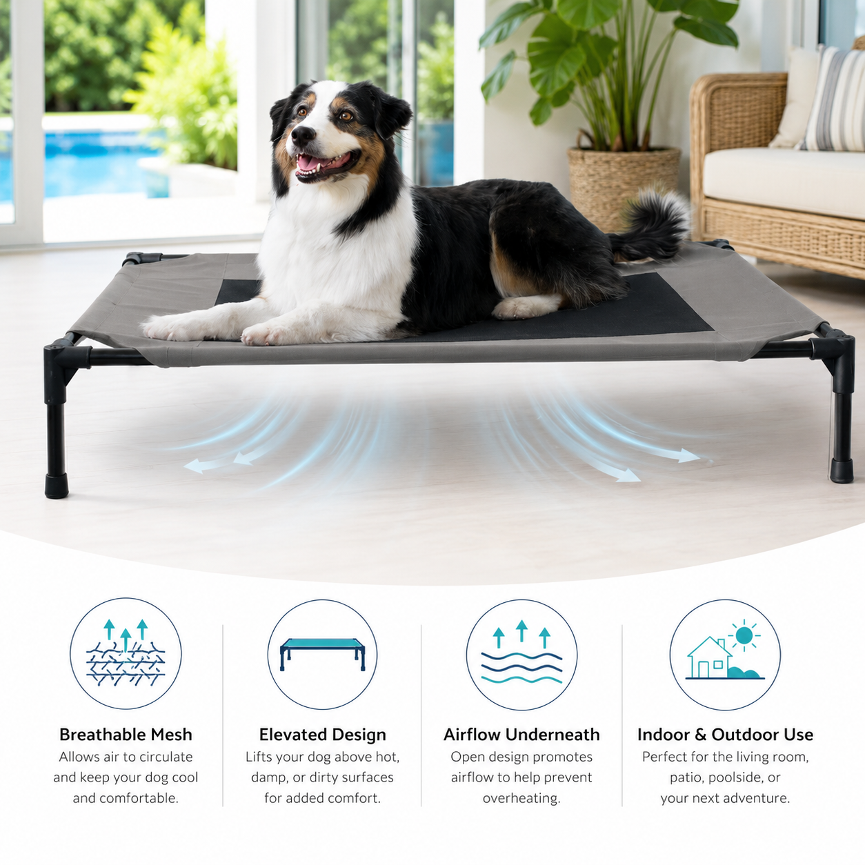 PawBuddies™ Elevated Cooling Dog Bed | Breathable Mesh | Large