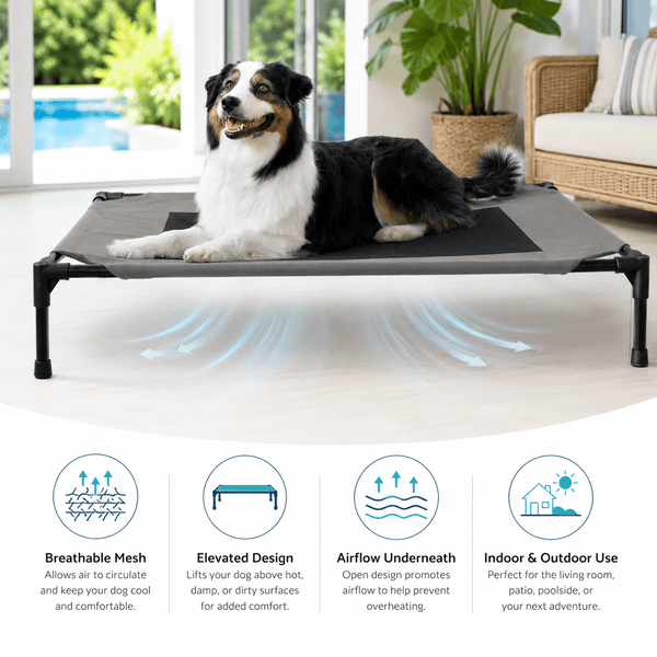 Elevated cooling dog bed for large dogs with breathable mesh