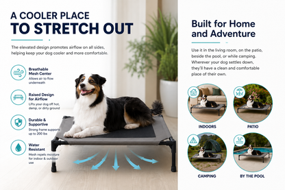 PawBuddies™ Elevated Cooling Dog Bed | Breathable Mesh | Large