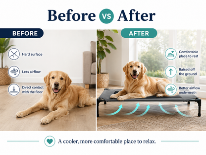 PawBuddies™ Elevated Cooling Dog Bed | Breathable Mesh | Large